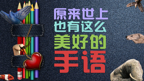 原来世上也有这么美好的手语